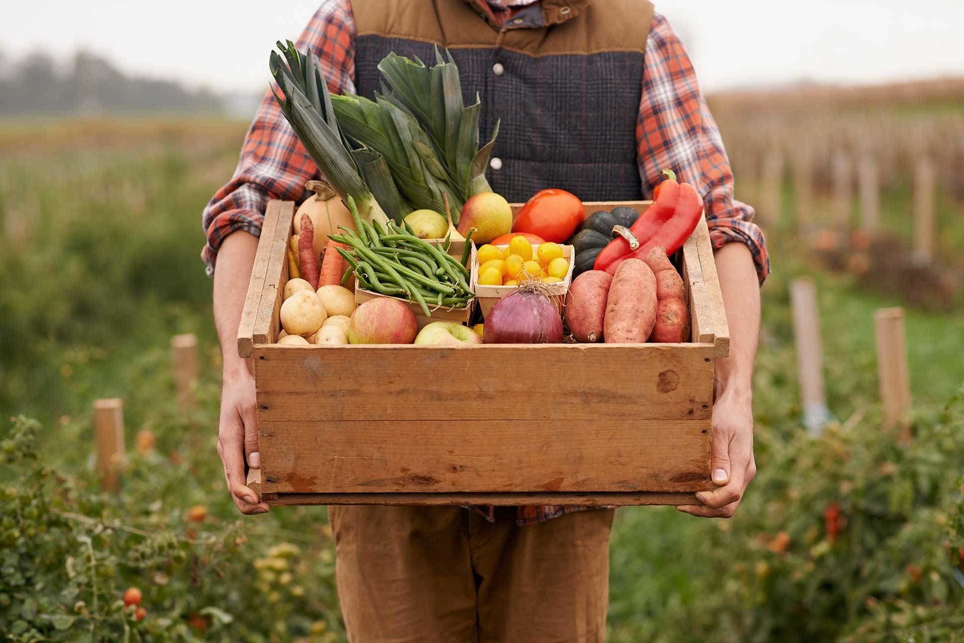 We create transparency around the food we eat