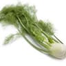 Fennel (BUNCH)