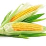 Corn
