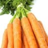 Carrot 