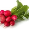 Radish (BUNCH)
