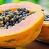 Papaya 
