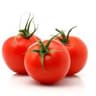 Tomato: Gourmet