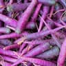 Carrot: Purple