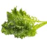 Mustard Green: Wasabina (BUNCH)