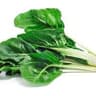 English Spinach/Rainbow Chard/Silverbeet (BUNCH)